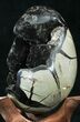 Septarian Dragon Egg Geode - Black Calcite Crystals #33977-2